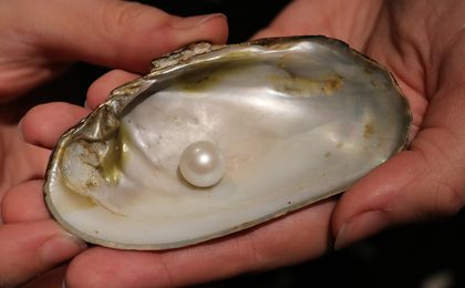 Parel en maansteen — geboortesteen van juni
